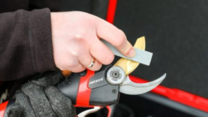 Comment aiguiser un sécateur : méthode simple pour un outil toujours efficace